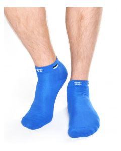 Eesti lipuga