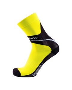 Nalini Moines Sokid