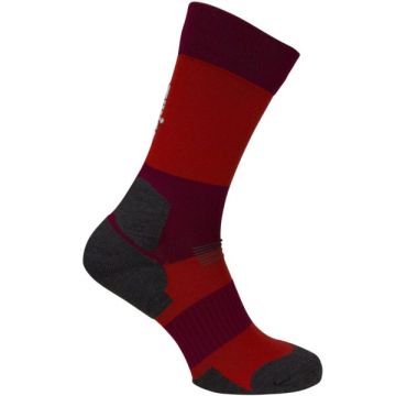 Swix Endure XC Light murdmaasuusasokid